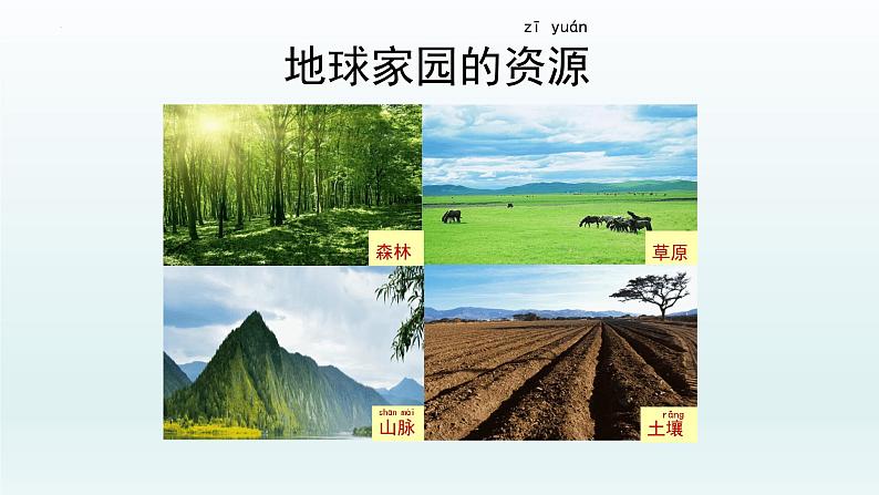 教科版二年级科学上册课件1土壤——动植物的乐园04