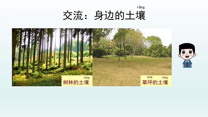 教科版二年级科学上册课件1土壤——动植物的乐园06