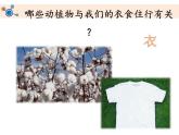 教科版二年级科学上册课件1做大自然的孩子