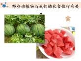 教科版二年级科学上册课件1做大自然的孩子