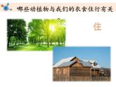 教科版二年级科学上册课件1做大自然的孩子
