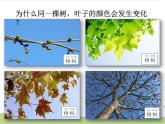教科版二年级科学上册课件2不同的季节