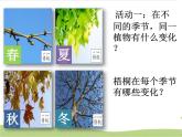 教科版二年级科学上册课件2不同的季节