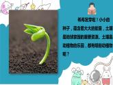 教科版二年级科学上册课件2土壤——动植物的乐园