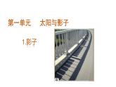 1、影子（课件）三年级下册科学青岛版