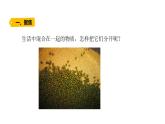 6、把它們分離（課件）-2021-2022學(xué)年科學(xué)三年級(jí)下冊(cè)