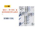 2、太阳和影子（课件）-2021-2022学年科学三年级下册