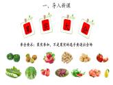 12、植物的果實(shí)+三年級下冊科學(xué)+青島版課件PPT