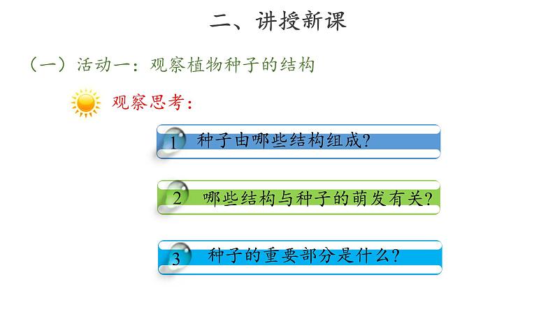 13、种子发芽了+三年级下册科学+青岛版课件PPT04