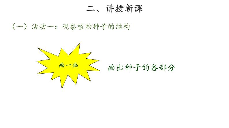 13、种子发芽了+三年级下册科学+青岛版课件PPT08