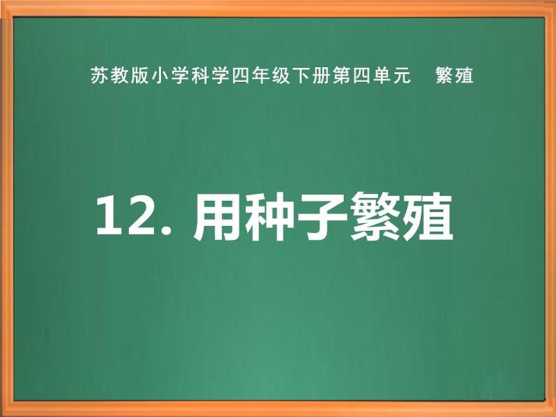 苏教版小学科学四下第四单元《12.用种子繁殖》课件PPT+教案+视频素材01