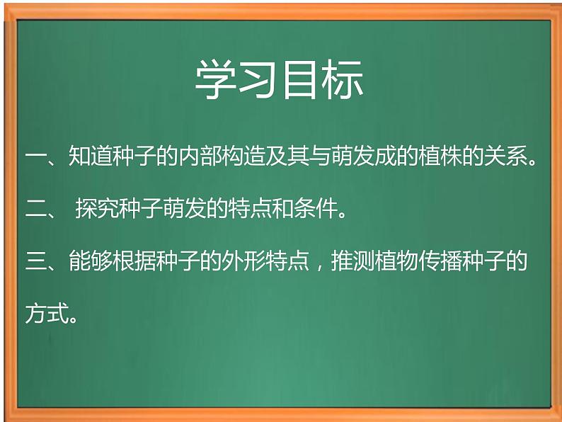 苏教版小学科学四下第四单元《12.用种子繁殖》课件PPT+教案+视频素材02