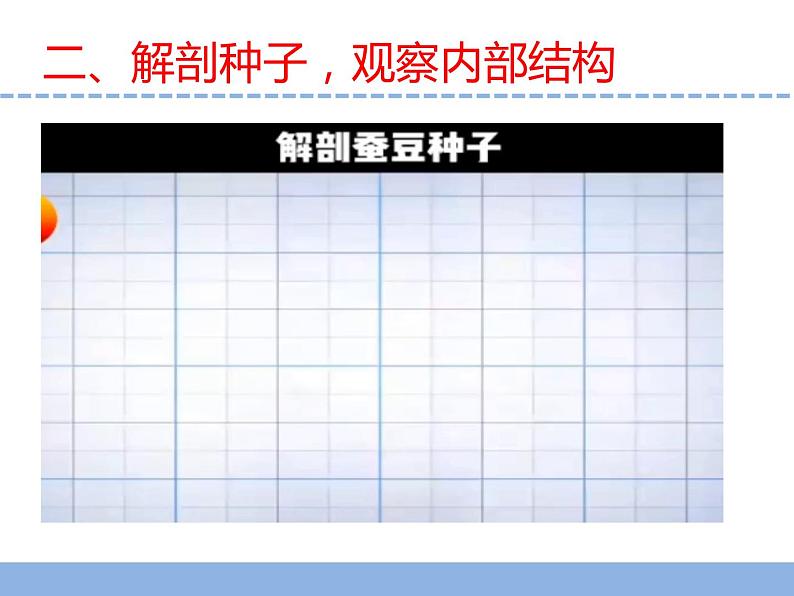 苏教版小学科学四下第四单元《12.用种子繁殖》课件PPT+教案+视频素材04