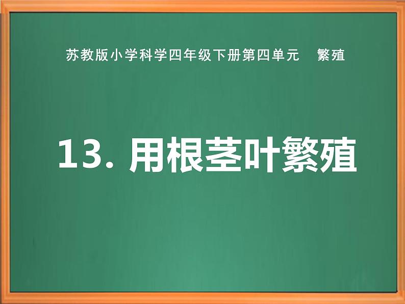 苏教版小学科学四年级下册第四单元《13.用根茎叶繁殖》课件第1页