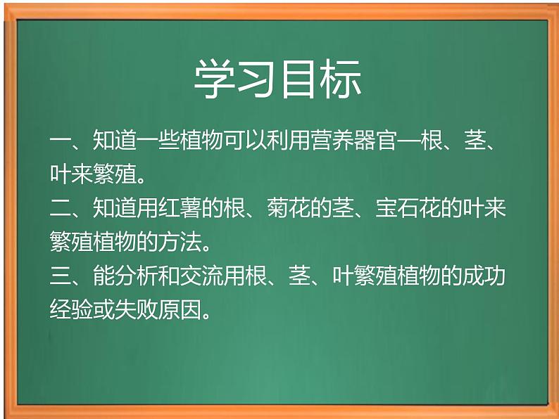 苏教版小学科学四年级下册第四单元《13.用根茎叶繁殖》课件第2页