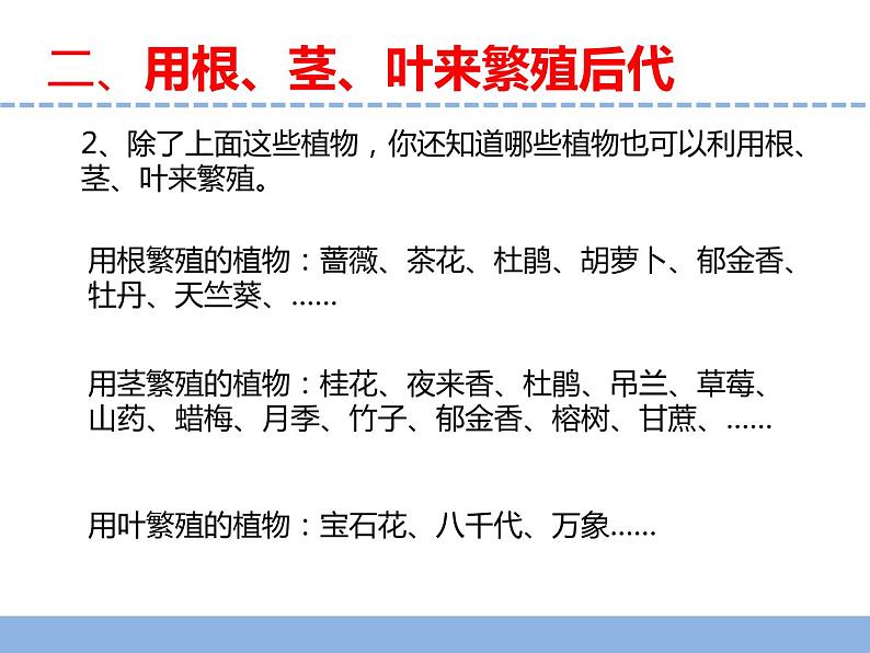 苏教版小学科学四年级下册第四单元《13.用根茎叶繁殖》课件第7页