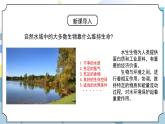 3.7《分析一個實際的環(huán)境問題》課件PPT+教案