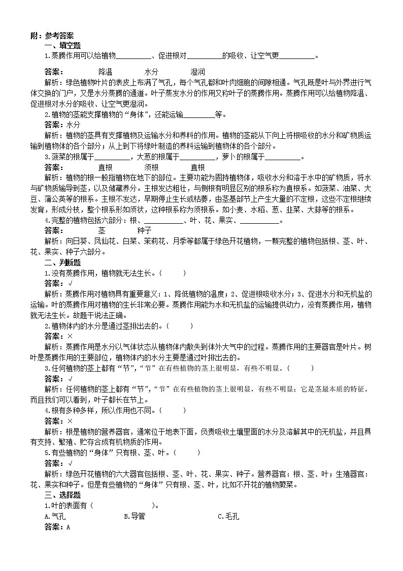小学科学青岛版六三制三年级上册第二单元《植物的生活》练习题1（附参考答案）（2022秋）03