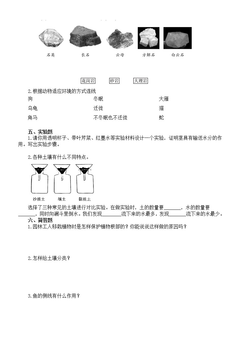 小学科学青岛版六三制三年级上册期中练习题2（附参考答案）（2022秋）02