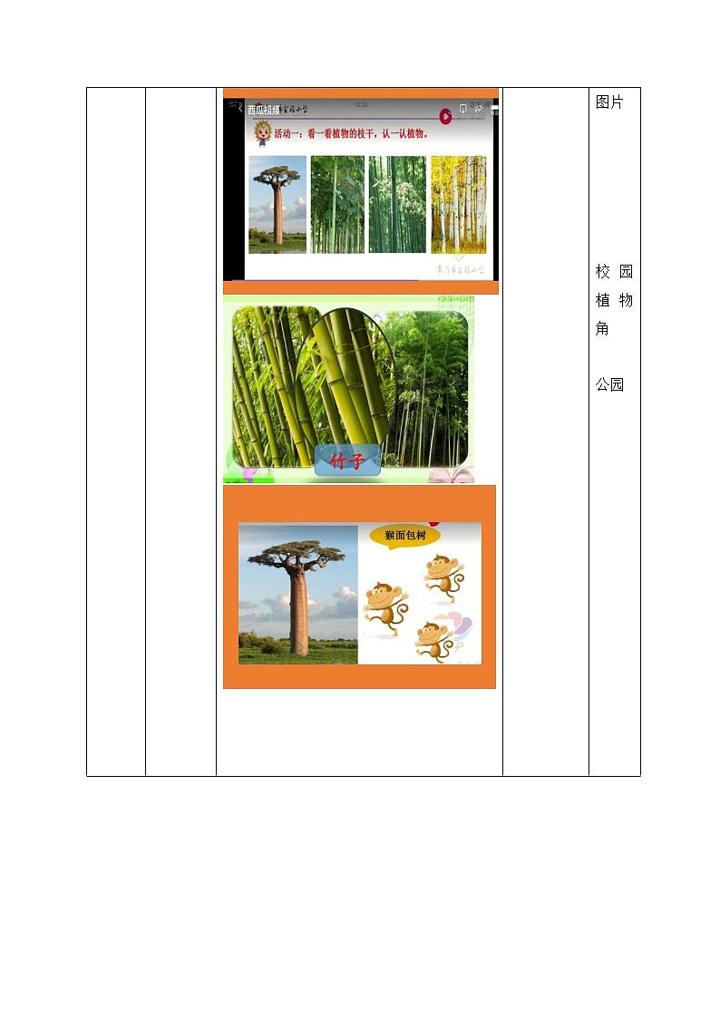 一年级下册科学学历案 教案试卷03
