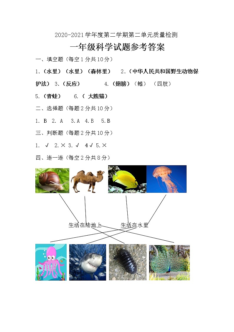 一年级下册科学学历案 教案试卷01