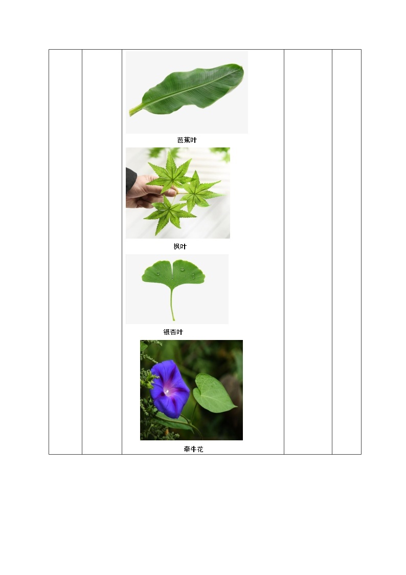 一年级下册科学学历案 教案试卷03