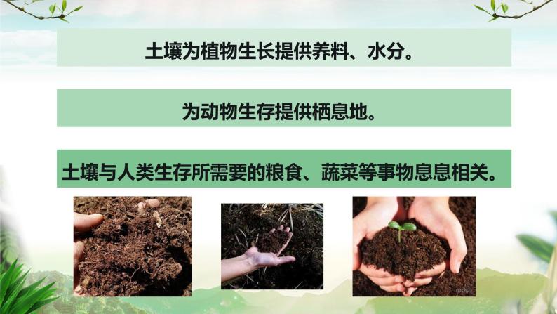 苏教版(2017)科学三年级上册7保护土壤（课件）04