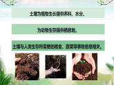 苏教版(2017)科学三年级上册7保护土壤（课件）