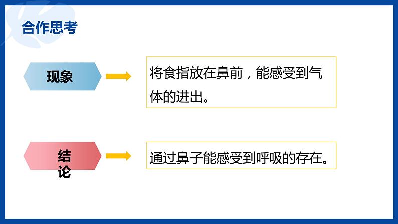 苏教版(2017)科学三年级上册16人的呼吸（课件）03