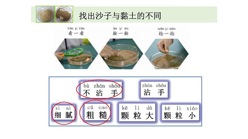 苏科版科学一年级下册课 件沙子与黏土课件PPT第8页