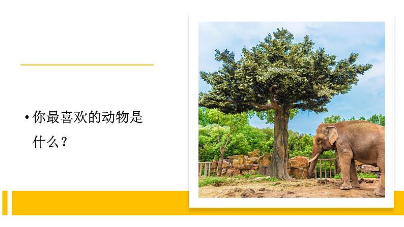 一年级下册科学苏教版 第10课-形形色色的动物（课件）02