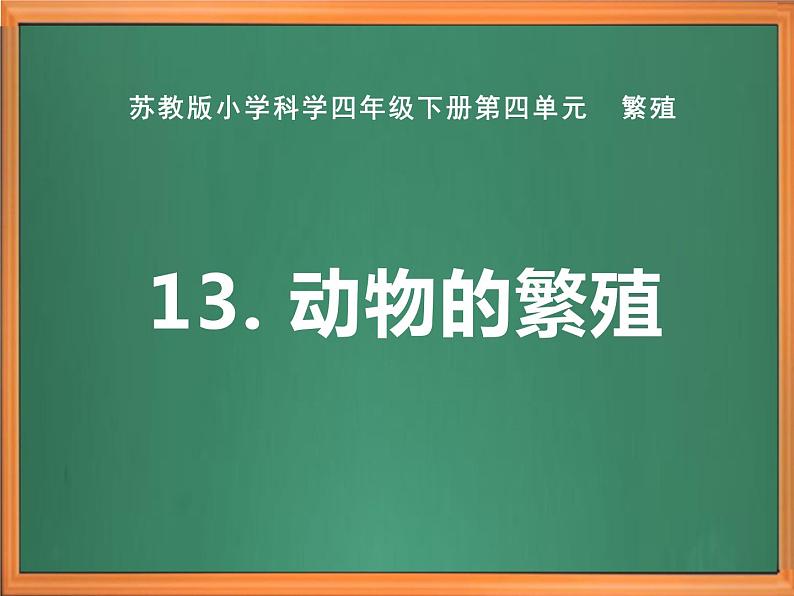 苏教版小学科学四下第四单元《14.动物的繁殖》课件PPT+教案+视频素材01