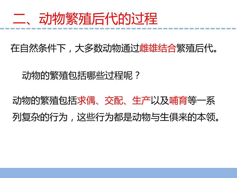 苏教版小学科学四下第四单元《14.动物的繁殖》课件PPT+教案+视频素材04
