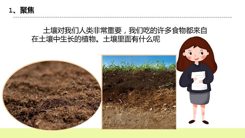 教科版科学四年级下册3.6《观察土壤》课件ppt（送教案+练习）03