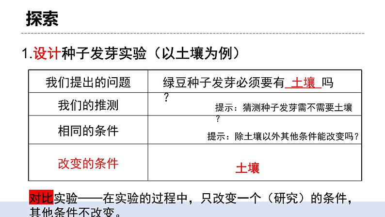 1.1 种子发芽实验 课件第5页