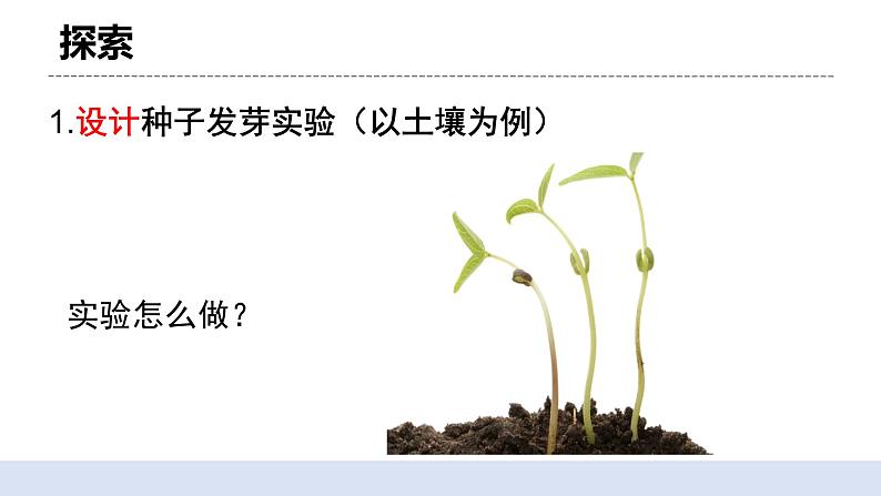 1.1 种子发芽实验 课件第6页