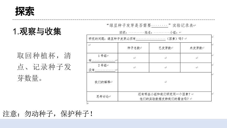 1.2 《比较种子发芽实验》 课件+教案05