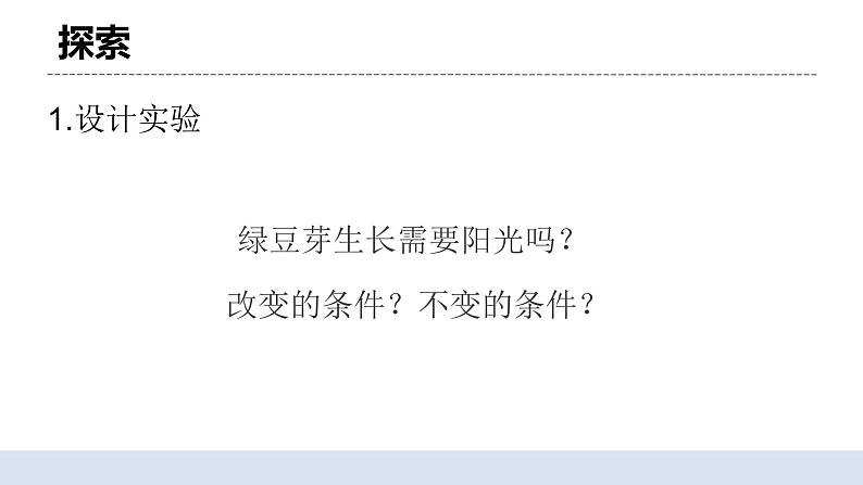 1.3 《绿豆苗的生长》 课件+教案05