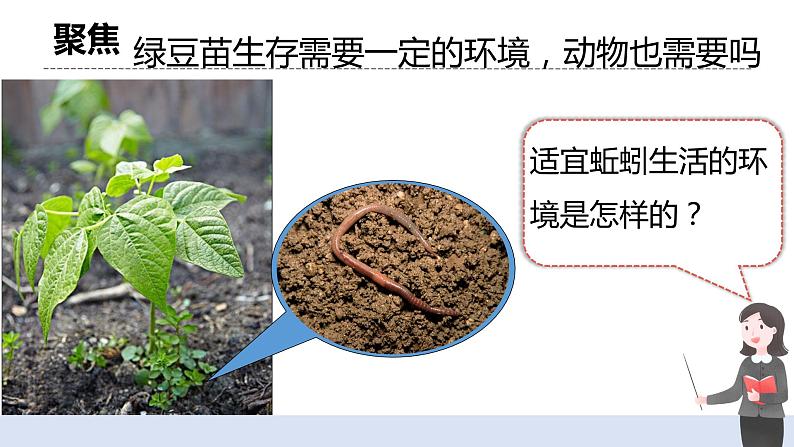 1.4 《蚯蚓的选择》 课件+教案03
