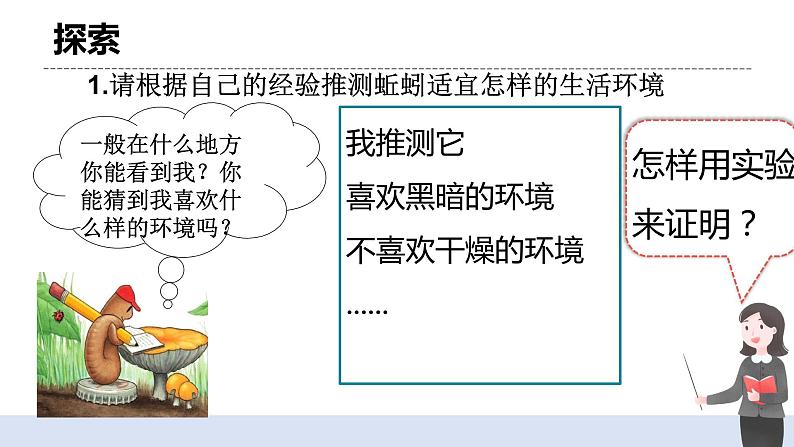 1.4 《蚯蚓的选择》 课件+教案04