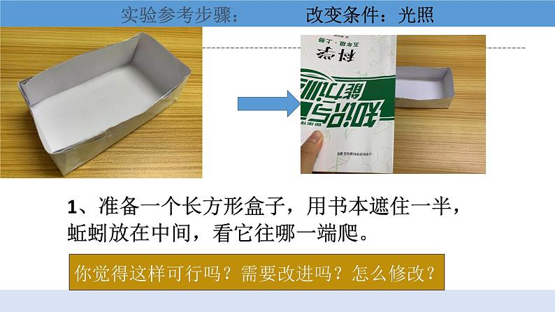 1.4 《蚯蚓的选择》 课件+教案06