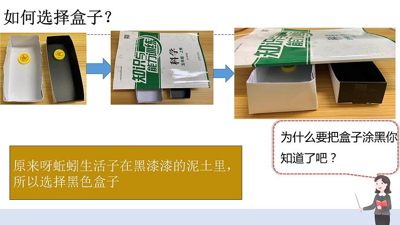 1.4 《蚯蚓的选择》 课件+教案07