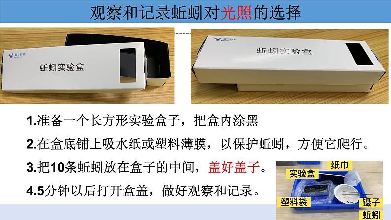 1.4 《蚯蚓的选择》 课件+教案08