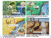 1.5《当环境改变了》 课件+教案+记录单