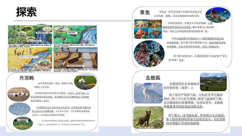 1.5《当环境改变了》 课件+教案+记录单08