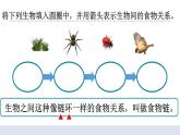 1.6 《食物链和食物网》 课件+教案