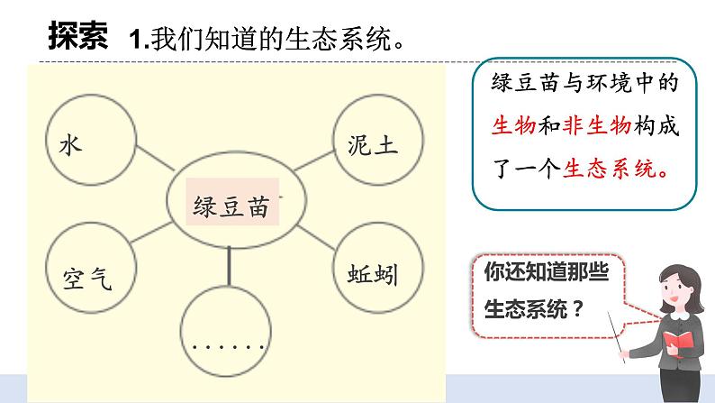 1.7 《设计和制作生态瓶 》课件+教案06