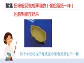 2.4《增加船的载重量》课件+教案+记录单+素材