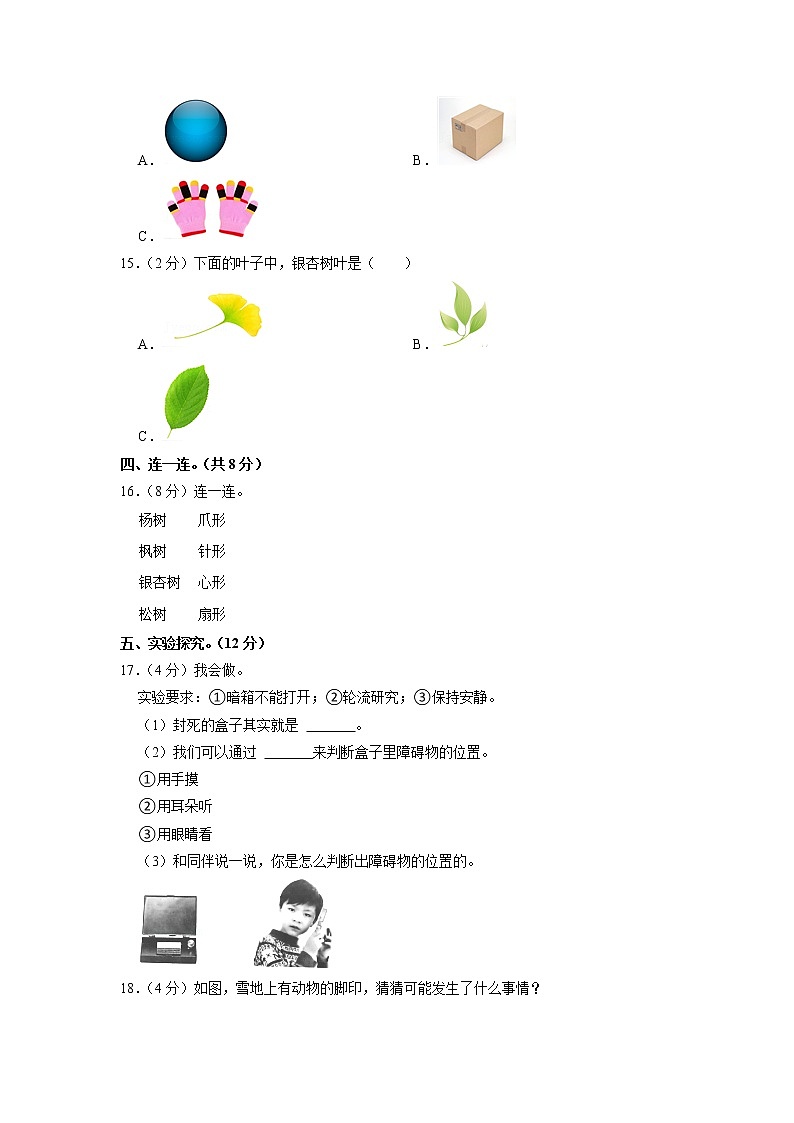 山西省晋中市灵石县2022-2023学年一年级上学期期末科学试卷02