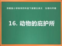 小学科学苏教版 (2017)四年级下册第五单元 生物与环境16 动物的庇护所优质ppt课件